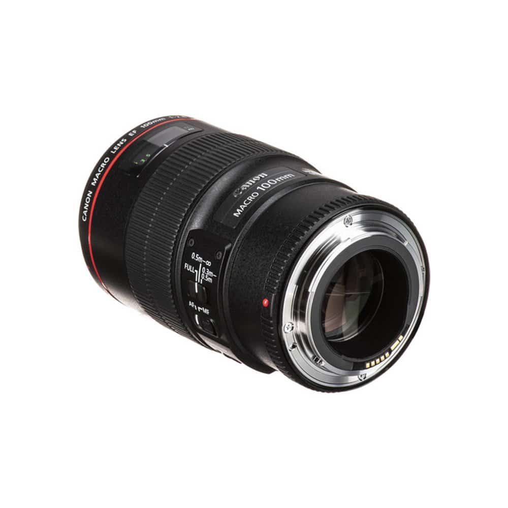 Canon EF 100mm f/2.8L IS USM Macro Lens