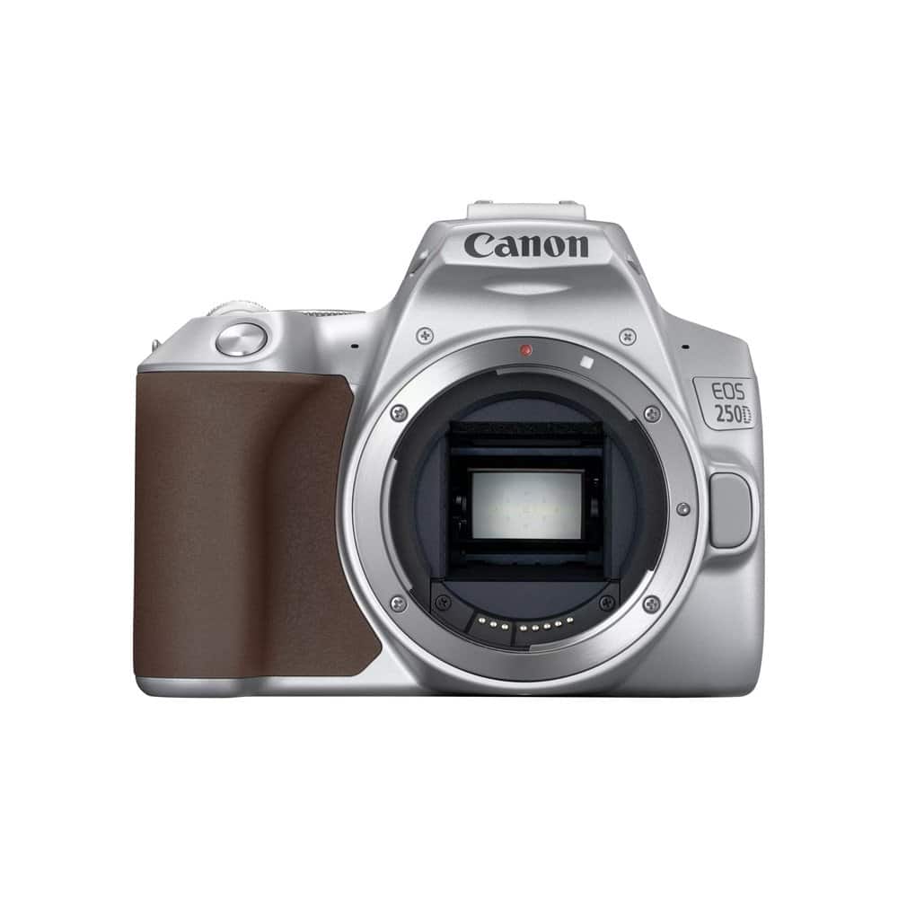 Canon EOS 250D Body, Silver and EF-S 18-55mm f/4-5.6 IS STM Lens 